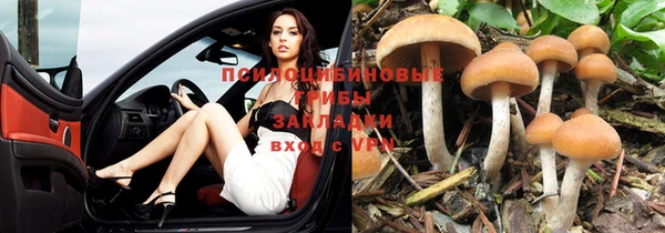 сатива Армянск