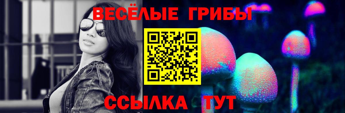 Псилоцибиновые грибы MAGIC MUSHROOMS Волгодонск
